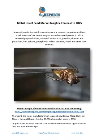 global insect feed market insights forecast