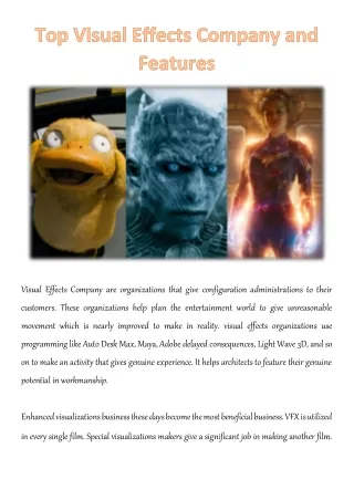 visual effects company are organizations that