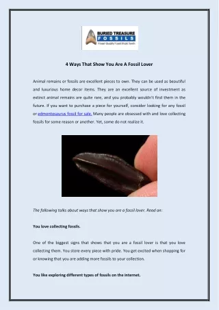 4 ways that show you are a fossil lover