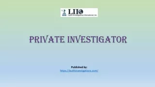 private investigator