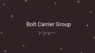 Bolt Carrier Group