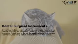 Dental Surgical Instruments