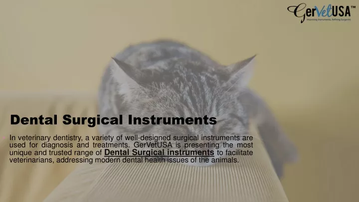dental surgical instruments