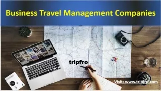 Business Travel Management Companies