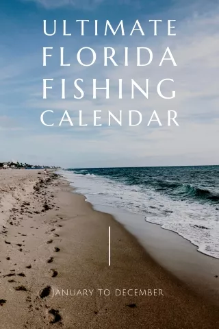 The Ultimate Florida Fishing Calendar