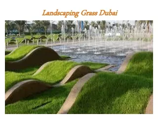 landscaping grass dubai