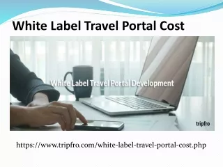 White Label Travel Portal Cost