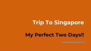 Trip To Singapore - Amazing Two Days