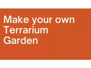 Make your own terrarium garden
