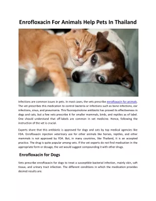 Enrofloxacin For Animals Help Pets In Thailand