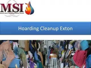 hoarding cleanup exton