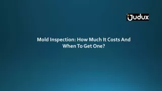 Mold Inspection: How Much It Costs And When To Get One?