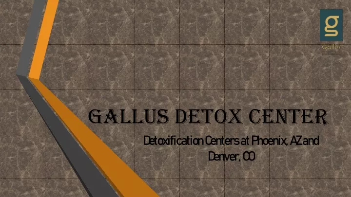 gallus detox center
