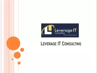 leverage it consulting