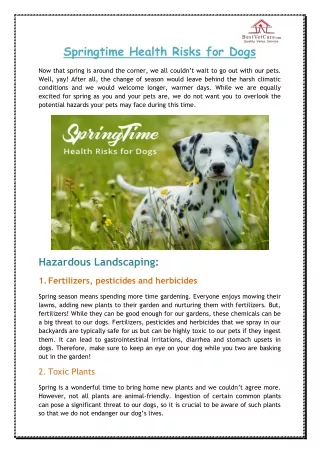 springtime health risks for dogs