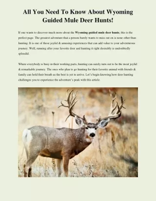 Wyoming Guided Mule Deer Hunt | hunt nation
