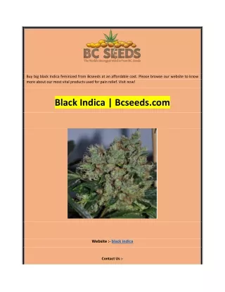 buy big black indica feminized from bcseeds
