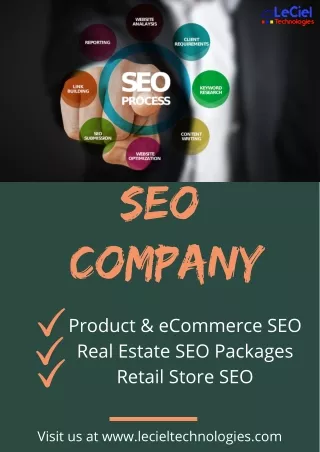 Top Ranking SEO Company Jodhpur