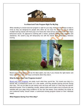 is a board and train program right for my dog