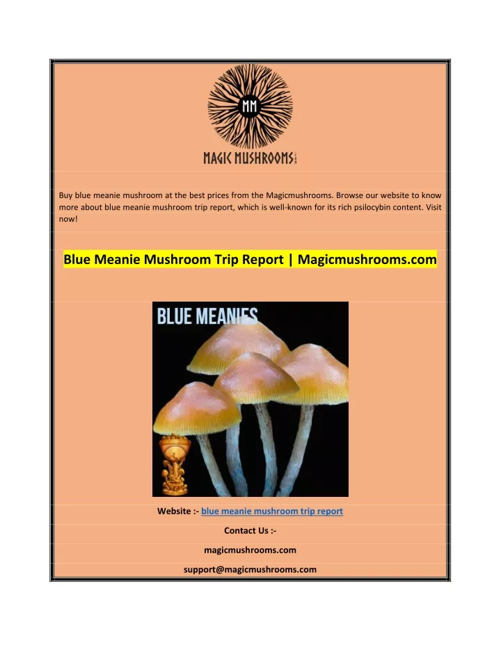 buy blue meanie mushroom at the best prices from