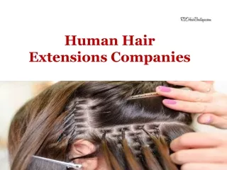 Human Hair Extensions Companies
