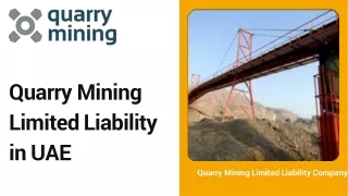 PLC Control System Design and Engineering in UAE | Quarry Mining LLC