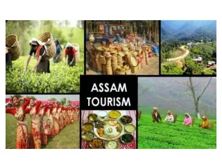 Places You Should Not Miss On Your Trip to Assam