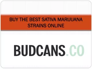 BUY THE BEST SATIVA MARIJUANA STRAINS ONLINE