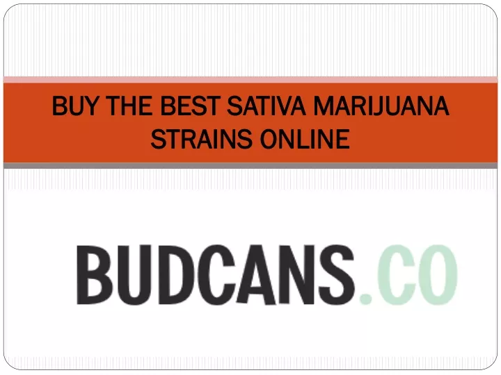 buy the best sativa marijuana strains online
