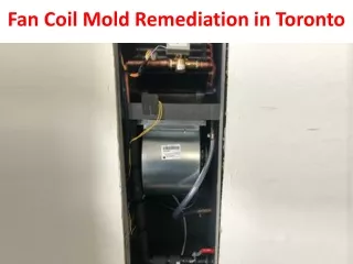 Fan Coil Mold Remediation in Toronto