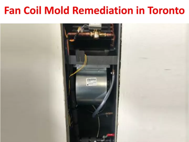 fan coil mold remediation in toronto