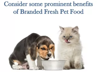 Consider some prominent benefits of Branded Fresh Pet