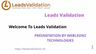 Professional Lead verification service