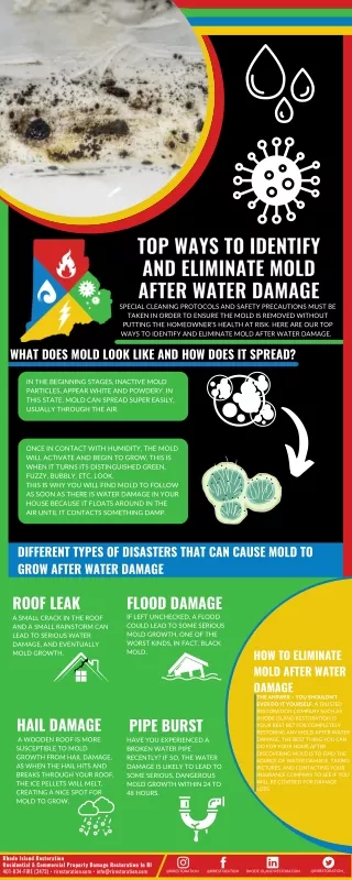Top Ways to Identify and Eliminate Mold After Water Damage