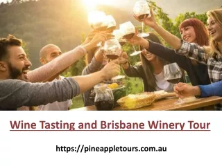Wine Tasting and Brisbane Winery Tour - Pineapple Tours