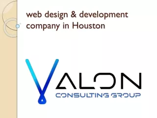 web design development company in houston