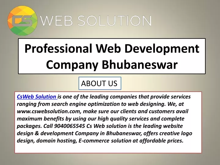 professional web development company bhubaneswar