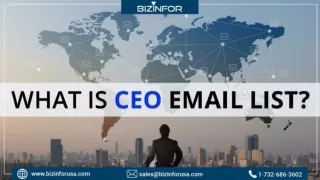 BizinforUSA - CEO Email list