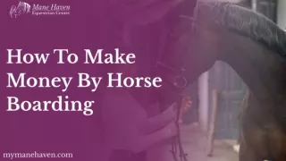 How to Make Money with a Horse Farm | My Mane Haven
