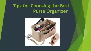 Tips for Choosing the Best Purse Organizer