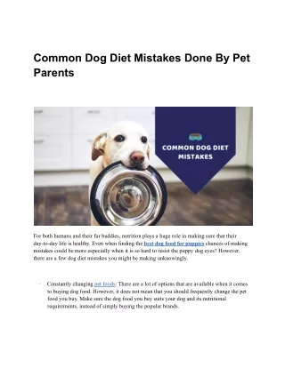 Common Dog Diet Mistakes Done By Pet Parents