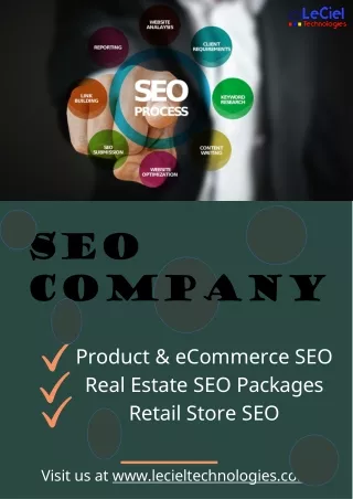 High Ranking SEO Services Company Jodhpur