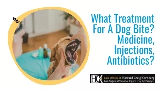 What Treatment for a Dog Bite? Medicine, Injections, Antibiotics?