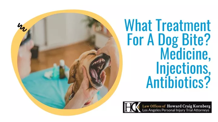 what treatment for a dog bite medicine injections