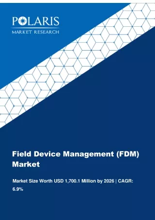Field Device Management (FDM) Market