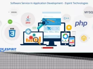 software Development Services Company