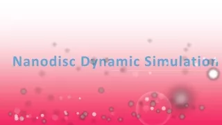 nanodisc dynamic simulation