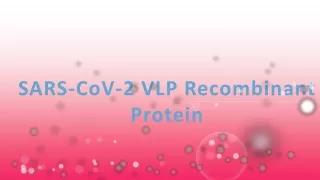 sars cov 2 vlp recombinant protein