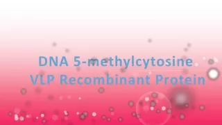 dna 5 methylcytosine vlp recombinant protein