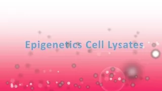 epigenetics cell lysates